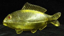 Atterybury fish